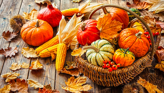 Screen Shot 2018-11-09 at 6.36.17 AM