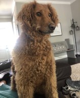 thumbnail__private_var_mobile_containers_data_application_a6155c79-ac57-4598-9386-7541c4ef0f70_tmp_584d6794-1973-49df-85ac-66b3ebb8c379_image